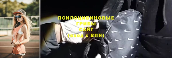 прущая мука Арсеньев
