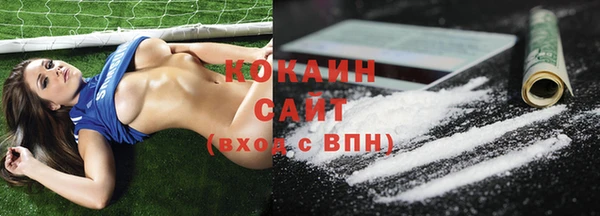 дживик Няндома