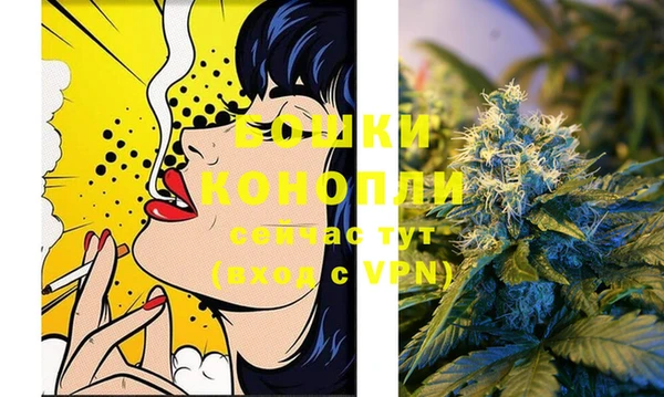 дживик Няндома