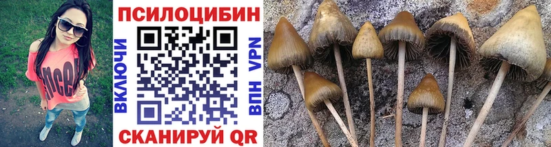 Псилоцибиновые грибы Cubensis  hydra как зайти  Аткарск 